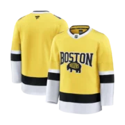 Men's Boston Bruins Gold 2026 NHL Stadium Series Premium Jersey